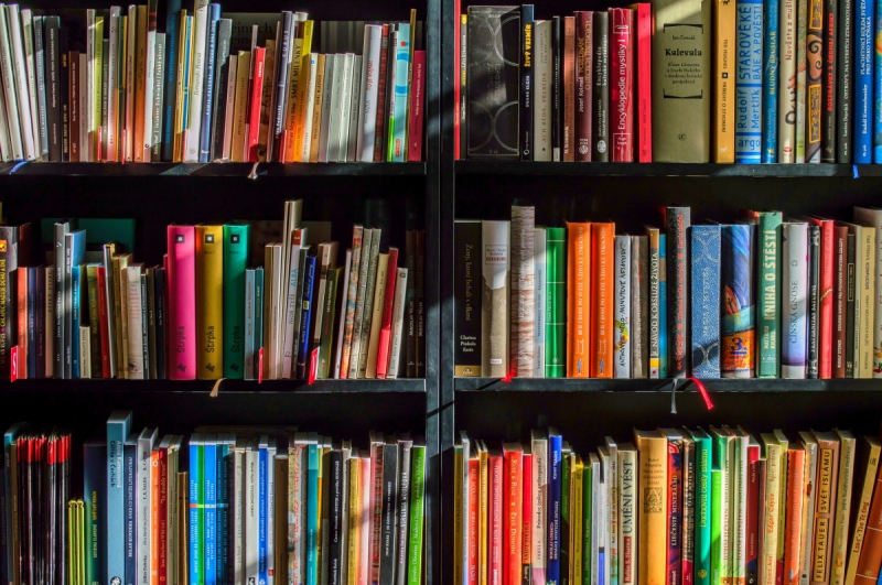boutique-BRAS-min_books_bookstore_book_reading_shop_writer_sale_books_read-822866